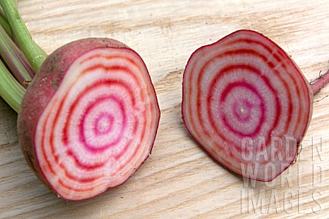 BEETROOT_CHIOGGIA_CUT_IN_HALF_TO_SHOW_RINGS