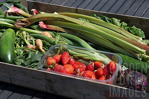 BOX_OF_FRESHLY_HARVESTED_FRUIT_AND_VEGETABLES