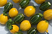 COURGETTES SUMMER BALL AND SUMMER PICCOLO