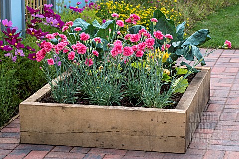 RAISED_BED_WITH_DIANTHUS_AND_VEGETABLES