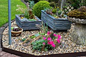 ALPINE GARDEN WITH SLATE TROUGHS AND CREVICE GARDEN