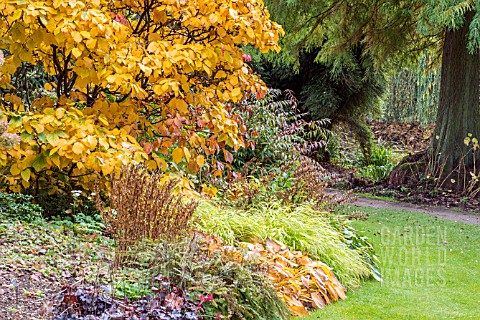 AUTUMN_COLOUR_AT_THE_BETH_CHATTO_GARDENS