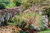 AUTUMN PLANT ASSOCIATION AT THE BETH CHATTO GARDENS