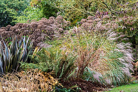 AUTUMN_PLANT_ASSOCIATION_AT_THE_BETH_CHATTO_GARDENS