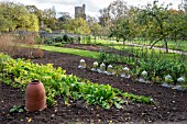 VEGETABLE GARDEN AT FULHAM PALACE, LONDON