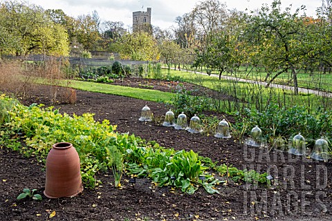 VEGETABLE_GARDEN_AT_FULHAM_PALACE_LONDON