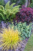 FOLIAGE GARDEN WITH CONTRASTING COLOURS