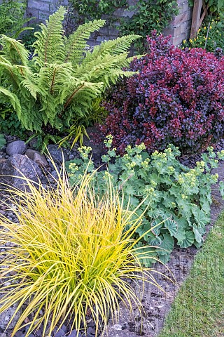 FOLIAGE_GARDEN_WITH_CONTRASTING_COLOURS