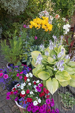 SUMMER_CONTAINERS