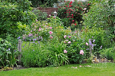 PERENNIAL_BORDER_WITH_ROSES_AND_PAEONIES