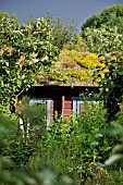 GARDEN HOUSE WITH GREEN ROOF IN A NATURAL GARDEN