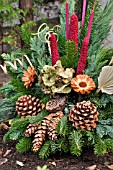 GRAVE DECORATION WITH FIR BRANCHES AND CONES