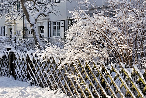 FRONT_GARDEN_WITH_SNOWCOVERED_SHRUBS