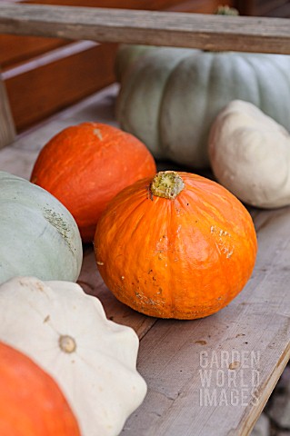 ETAGERE_WITH_PUMPKINS