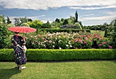 A VISITOR ADMIRES THE ROSES IN THE MODERN  ROSE GARDEN AT RHS GARDEN HYDE HALL,  IN JUNE