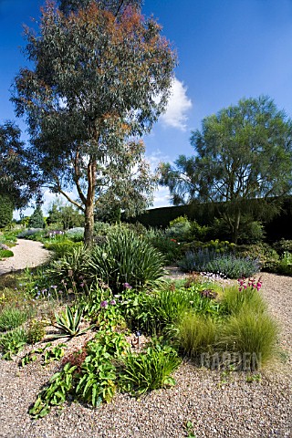 THE_DROUGHT_RESISTANT_GRAVEL_GARDEN_AT_BETH_CHATTO_GARDENS