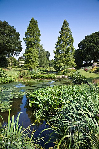 THE_WATER_GARDENS_AT_BETH_CHATTO_GARDENS