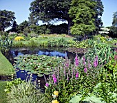 THE WATER GARDENS AT BETH CHATTO GARDENS