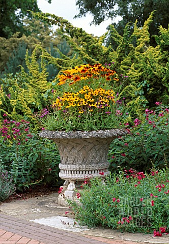 RUDBECKIA_IN_LARGE_CONTAINER_VASE__RUSTIC_DWARVES_AND_HIRTA_TOTO