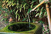 SMALL JAPANESE WATER FEATURE BAMBOO BIRD