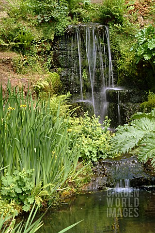 WATERFALL_WAKEHURST_PLACE__WEST_SUSSEX