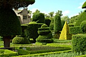 TOPIARY AT LEVENS HALL
