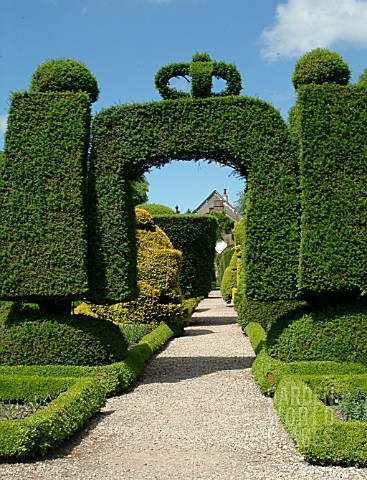TOPIARY_AT_LEVENS_HALL
