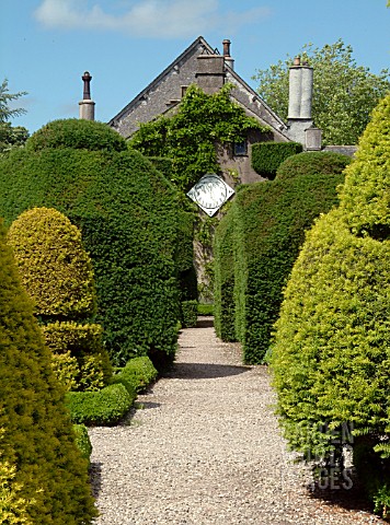 TOPIARY_AT_LEVENS_HALL