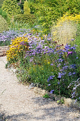 SCENE_IN_THE_PICTON_GARDEN__OLD_COURT_NURSERIES__NATIONAL_COLLECTION_OF_AUTUMN_FLOWERING_ASTERS__COL
