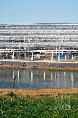 THE_BICENTENARY_GLASSHOUSE_AT_RHS_WISLEY_UNDER_CONSTRUCTION_EARLY_NOVEMBER_2006