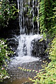 WATERFALL IN THE WATER GARDENS AT KNOLL GARDENS,  HAMPRESTON,  DORSET: EARLY JUNE.