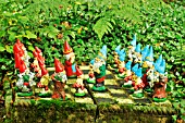 GNOMES AT THE GNOME RESERVE