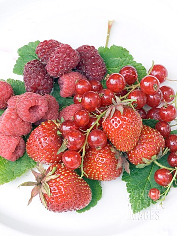 RED_SUMMER_FRUITS_STRAWBERRY_LOGANBERRY_RASPBERRY__RED_CURRANT