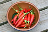 BOWL OF CHILLI BASKET OF FIRE