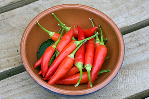 BOWL_OF_CHILLI_BASKET_OF_FIRE