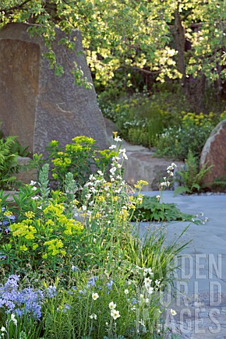 THE_MG_GARDEN_DESIGNED_BY_CLEVE_WEST___GOLD_MEDAL_WINNER