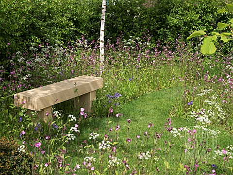 COUNTRY_MEADOW_PLANTING